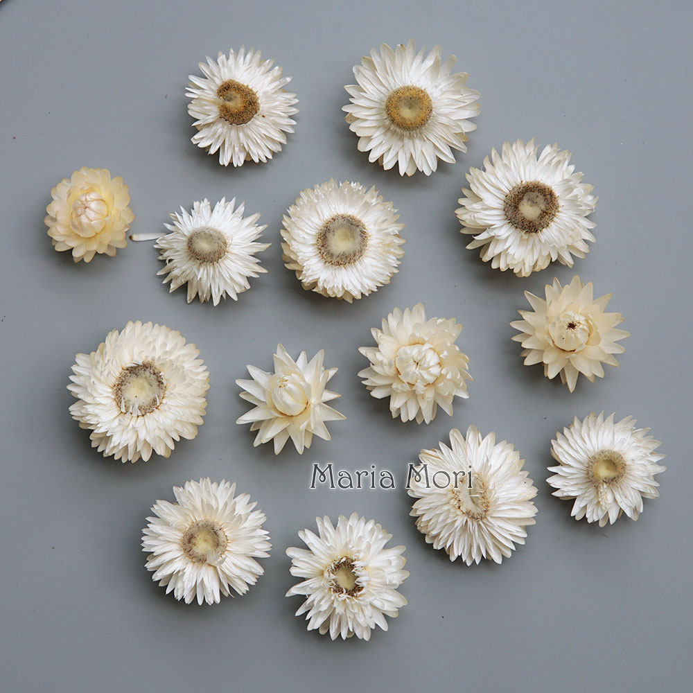 Baby Product - Natuurlijke Gedroogde Kleurrijke Chrysanthemum Krans Handgemaakte