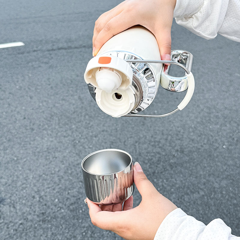 1 stuk RVS Geïsoleerde Thermos - Portable Bottle Warmer recensie en prijs